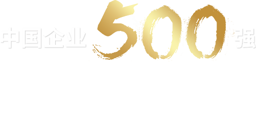 ���Ź����217��(�й���)����